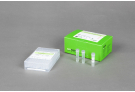 AccuPower® Theileria PCR Kit
