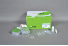 Tissue Genomic DNA extracion Kit for ExiPrep™16 , genomic DNA, extraction, prep, sample prep, DNA extraction, ExiPrep kit