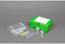 AccuPower® ZIKV (DENV, CHIKV) Multiplex Real-Time RT-PCR kit